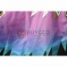2022 LOL Star Guardian Cosplay Costumes Xayah Skin Suits