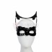 Batman Knights Of Dark Catwoman Anne Hathaway Cosplay Costume