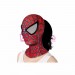 Female Spider-man Tobey Maguire Cosplay Costumes